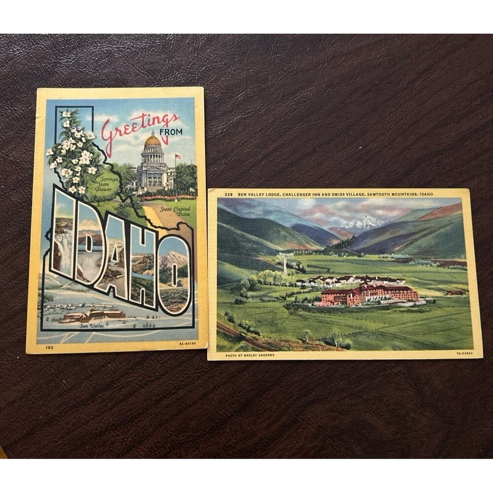 Vintage Idaho Postcards